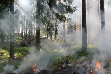 PERICOLO INCENDI BOSCHIVI -  in allegato la nota della Prefettura di Alessandria, strettamente da osservare  